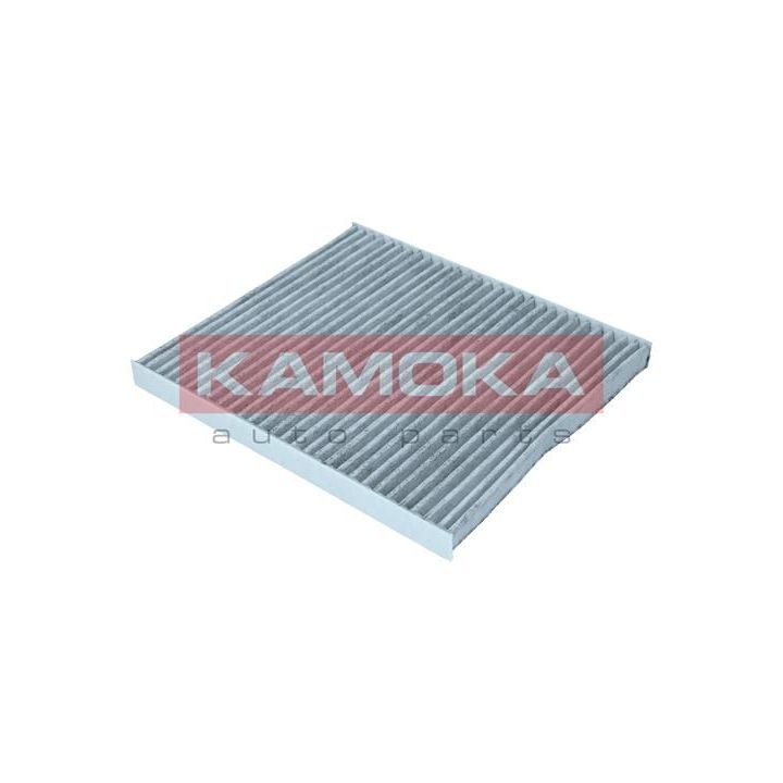 Filtras, salono oras KAMOKA F516701