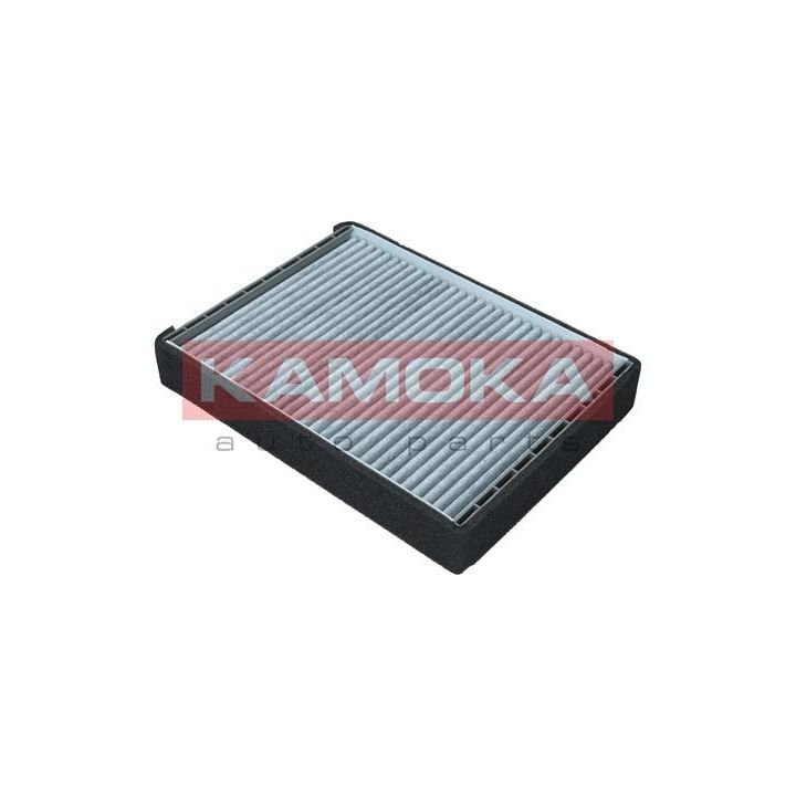 Filtras, salono oras KAMOKA F516901