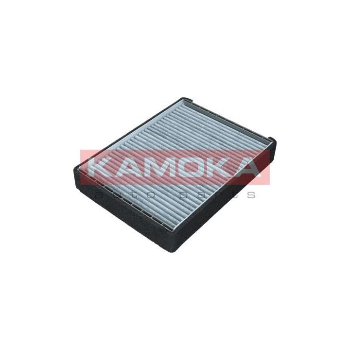 Filtras, salono oras KAMOKA F516901