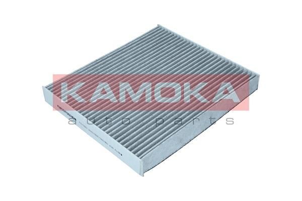 Filtras, salono oras KAMOKA F517001
