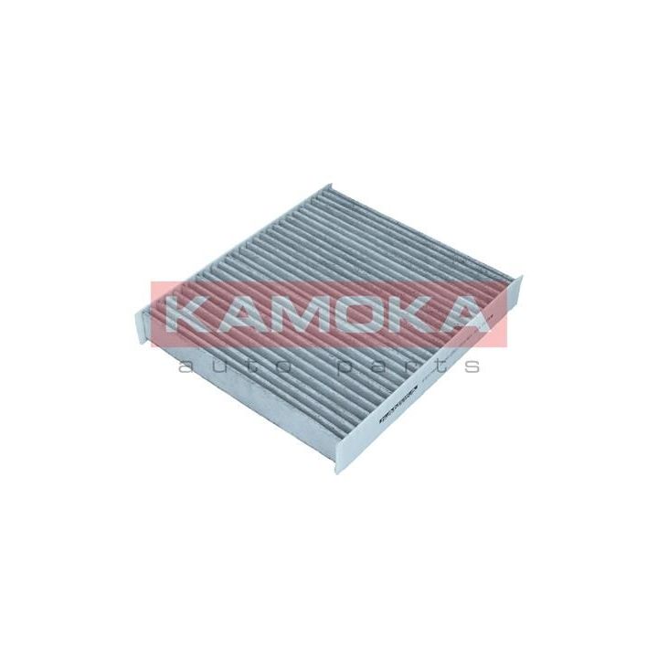 Filtras, salono oras KAMOKA F517501