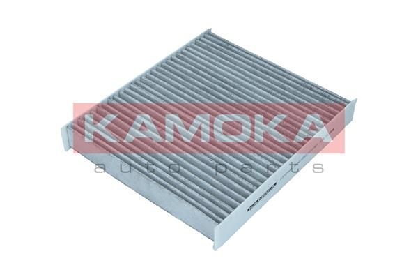 Filtras, salono oras KAMOKA F517501