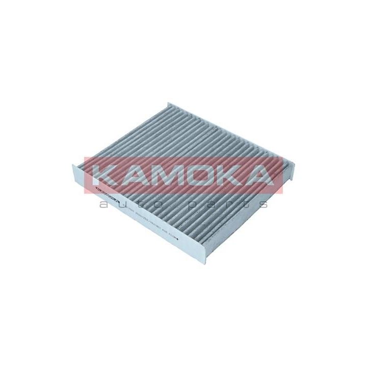 Filtras, salono oras KAMOKA F517501