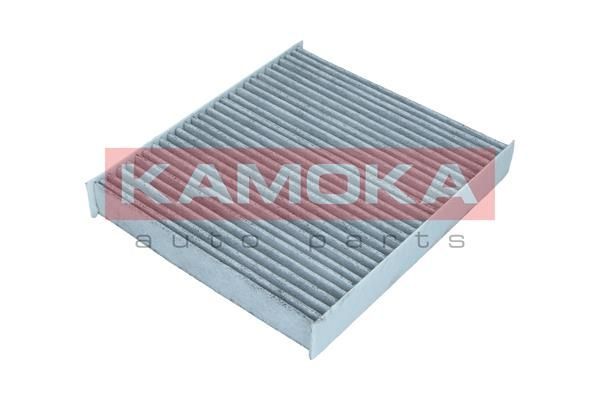 Filtras, salono oras KAMOKA F517501