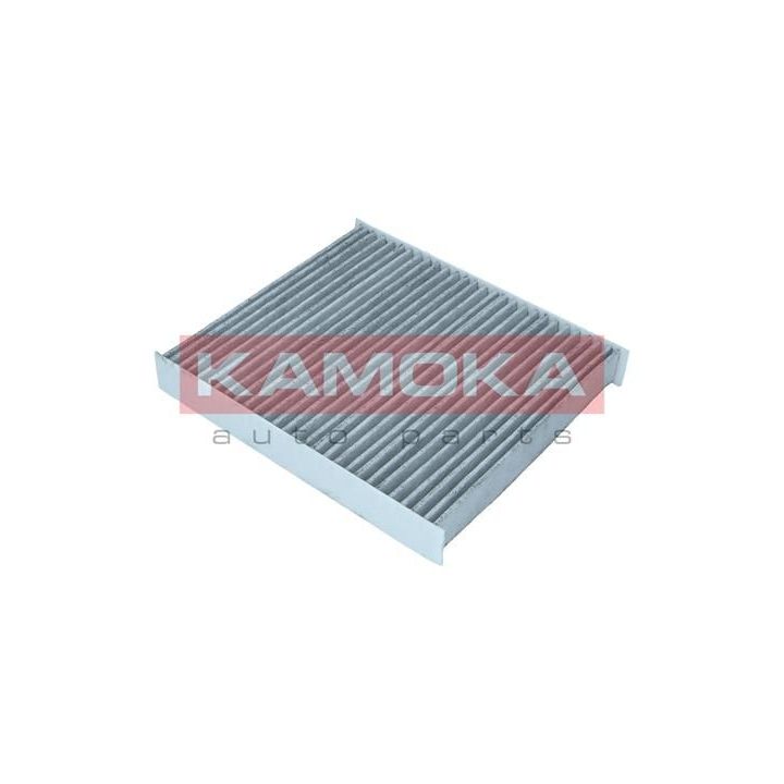 Filtras, salono oras KAMOKA F517501