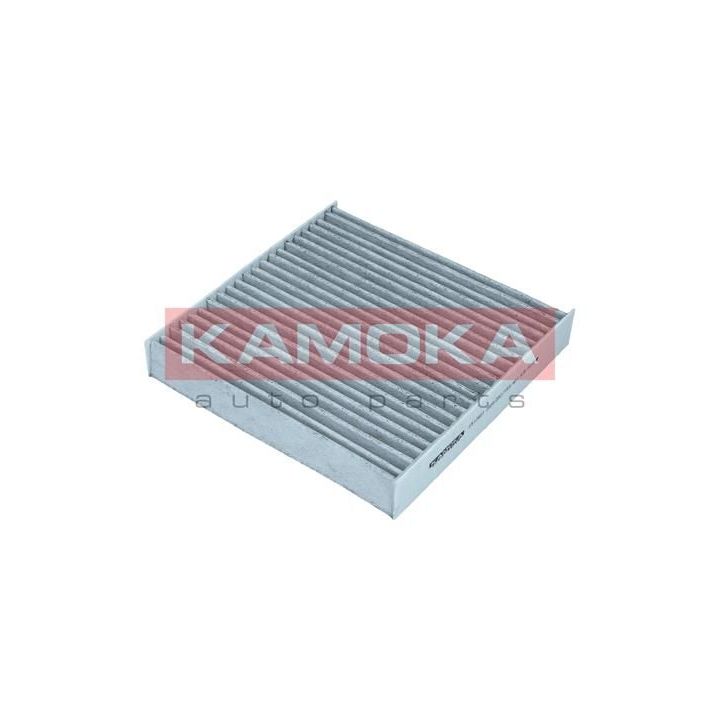 Filtras, salono oras KAMOKA F517601