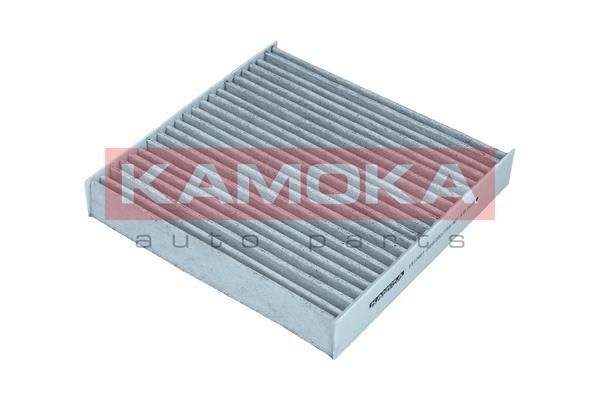 Filtras, salono oras KAMOKA F517601
