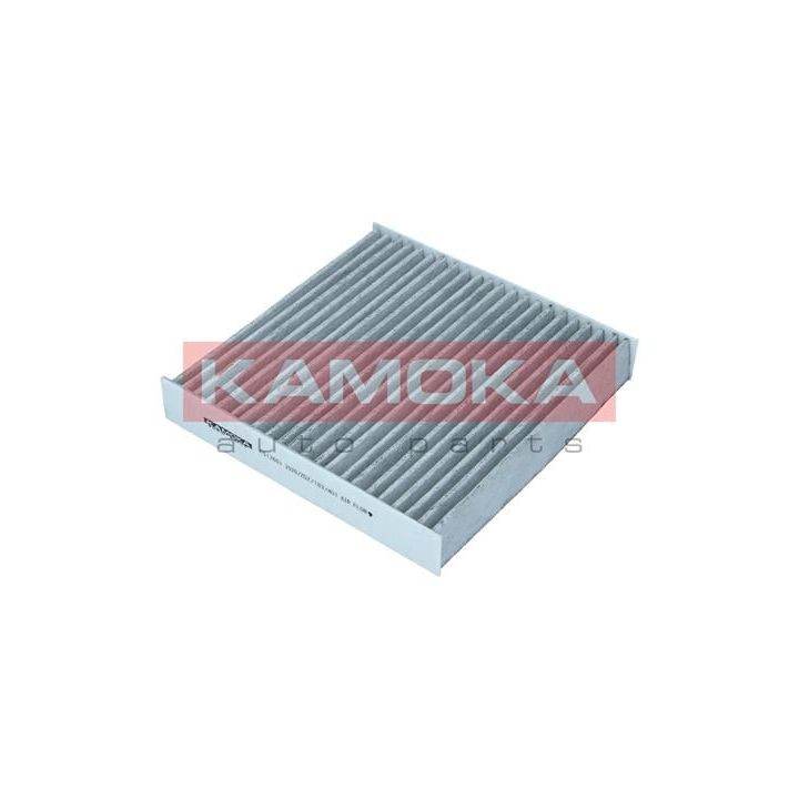 Filtras, salono oras KAMOKA F517601