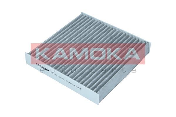 Filtras, salono oras KAMOKA F517601