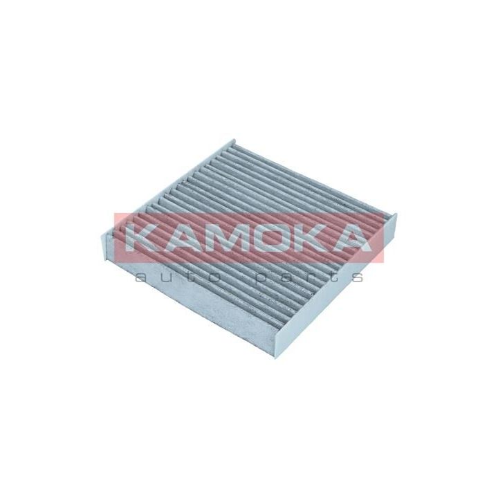 Filtras, salono oras KAMOKA F517601