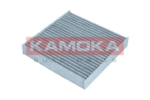 Filtras, salono oras KAMOKA F517601