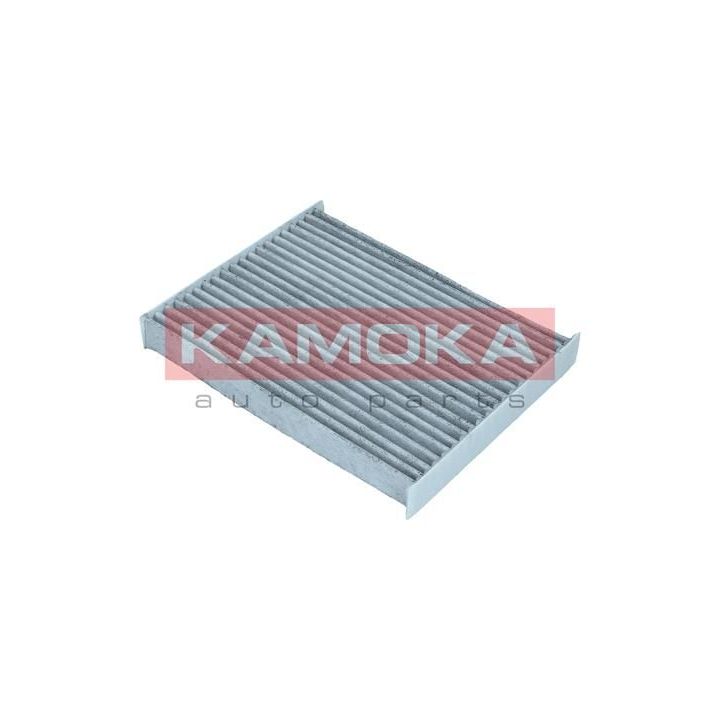 Filtras, salono oras KAMOKA F517901