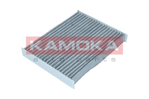 Filtras, salono oras KAMOKA F517901