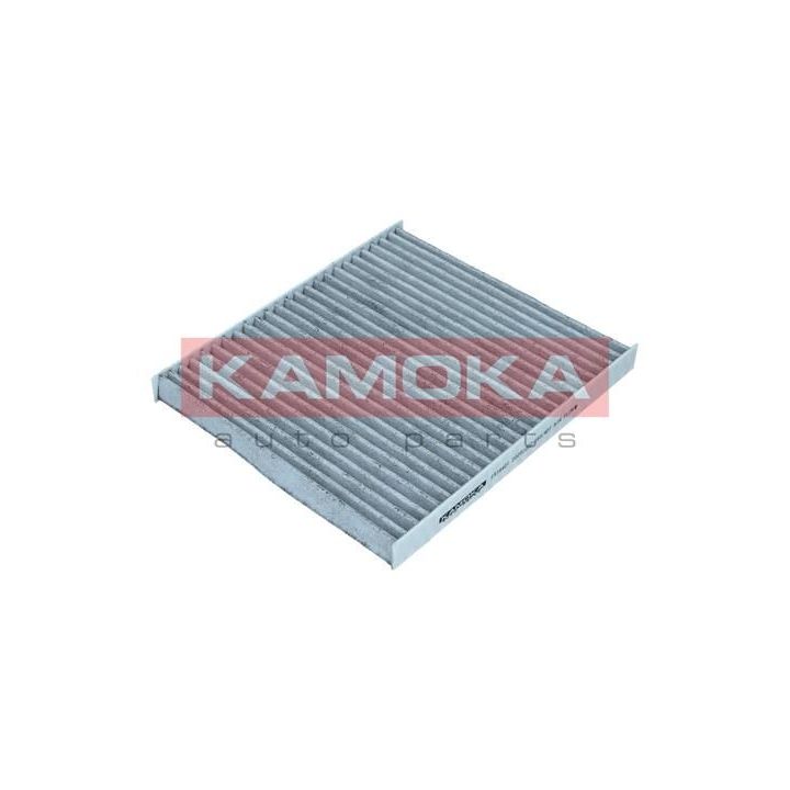 Filtras, salono oras KAMOKA F518401