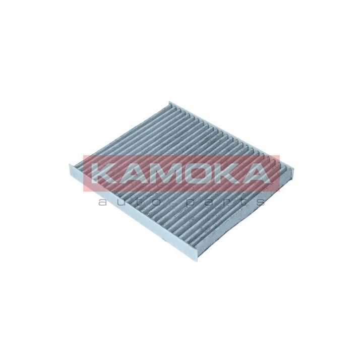 Filtras, salono oras KAMOKA F518401