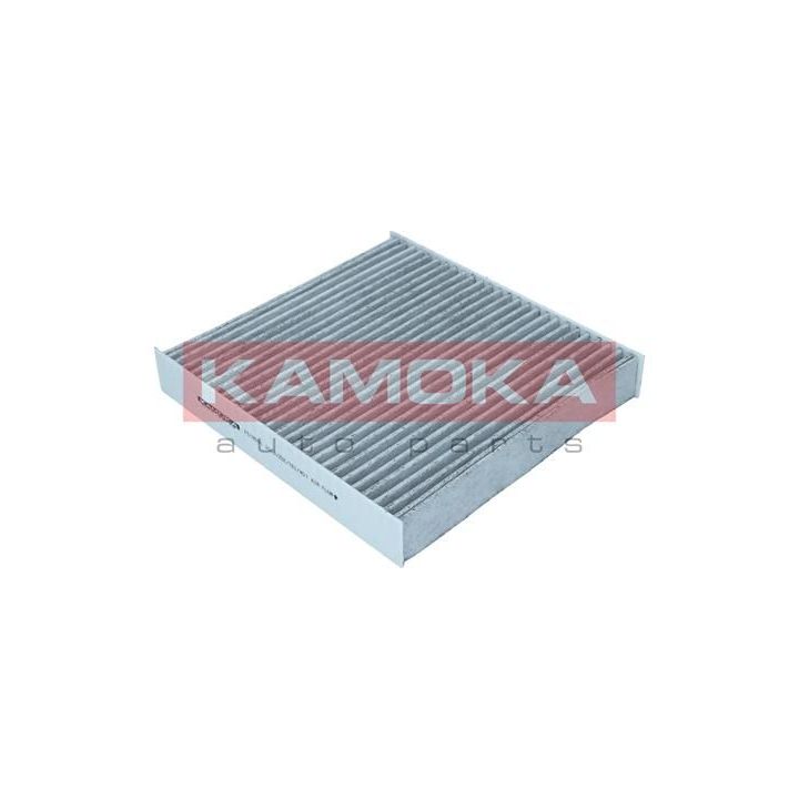 Filtras, salono oras KAMOKA F518501