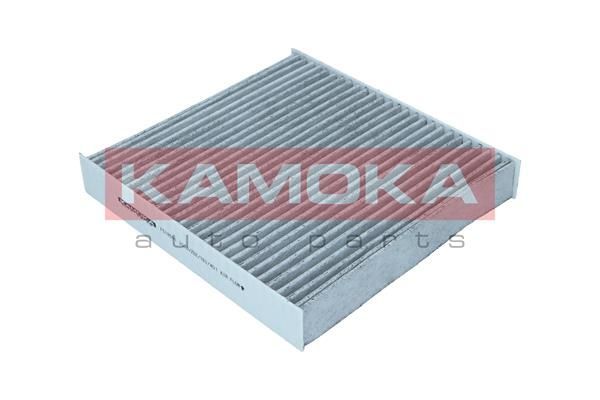 Filtras, salono oras KAMOKA F518501