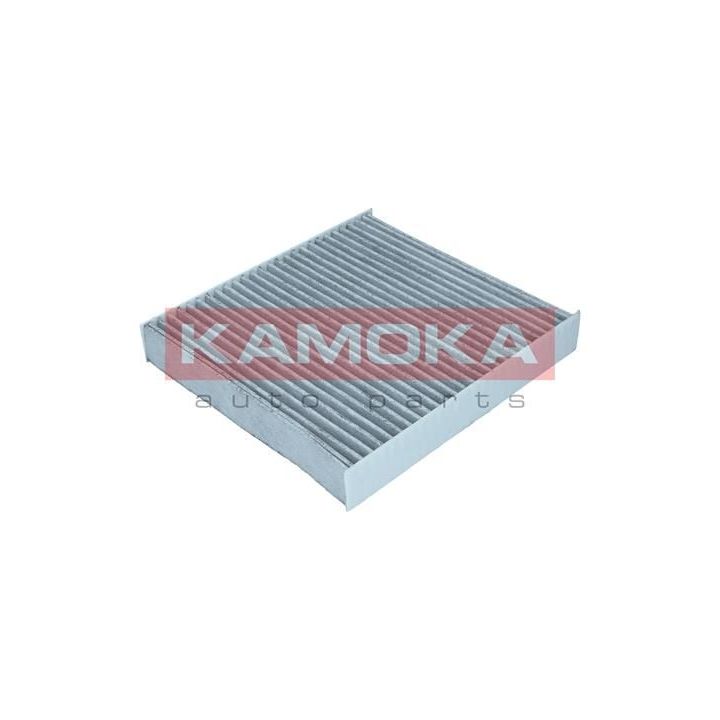 Filtras, salono oras KAMOKA F518501