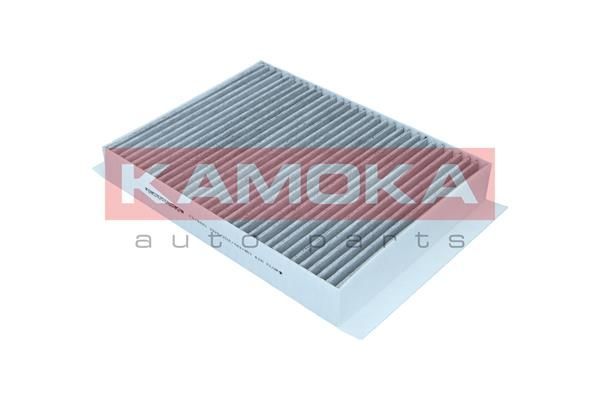 Filtras, salono oras KAMOKA F518601
