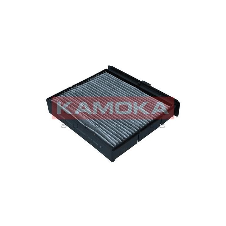 Filtras, salono oras KAMOKA F520201