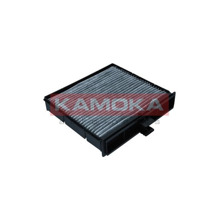 Filtras, salono oras KAMOKA F520201