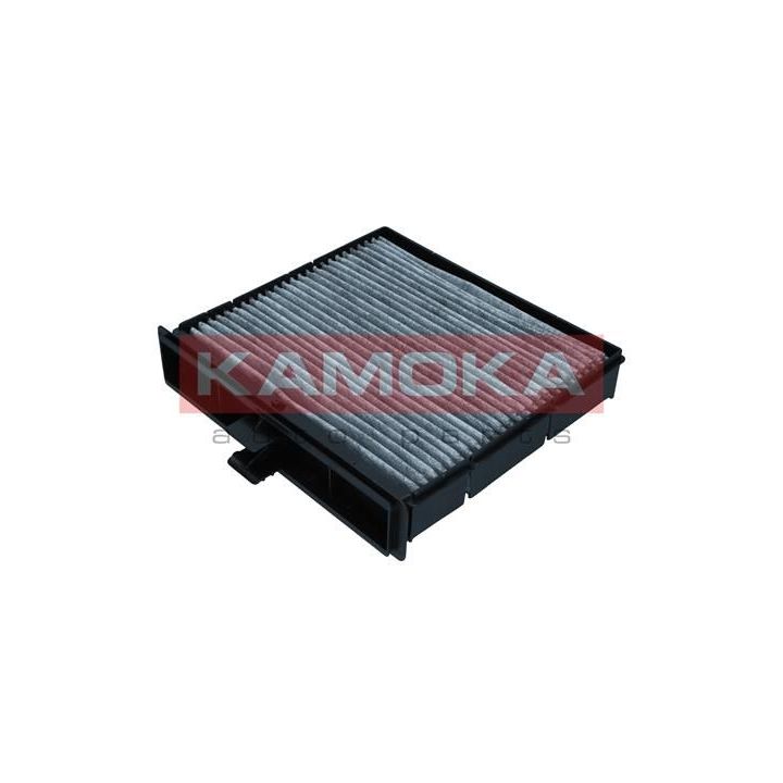Filtras, salono oras KAMOKA F520201