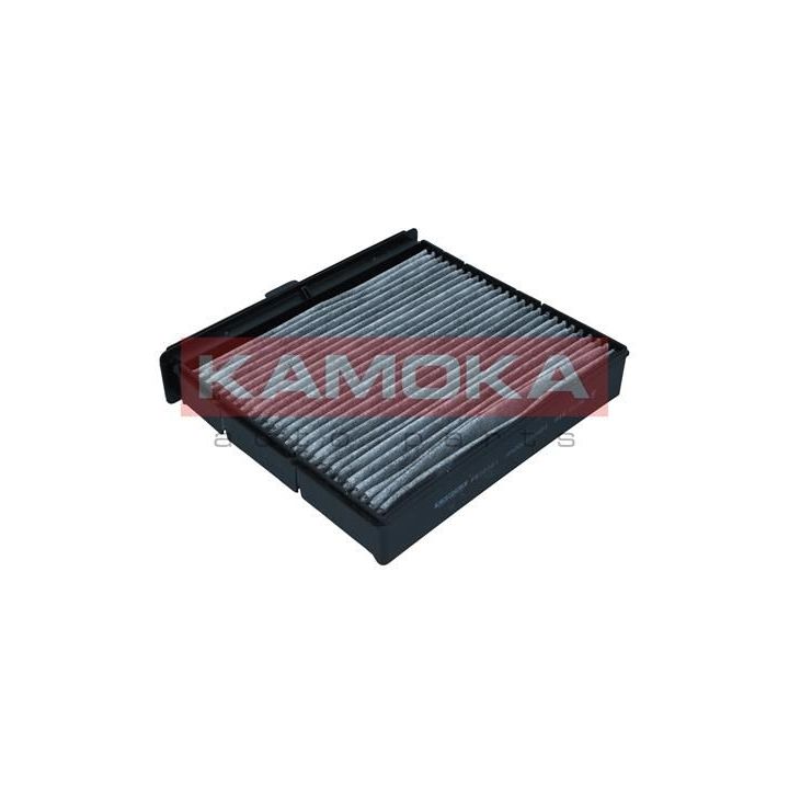 Filtras, salono oras KAMOKA F520201