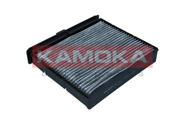 Filtras, salono oras KAMOKA F520201