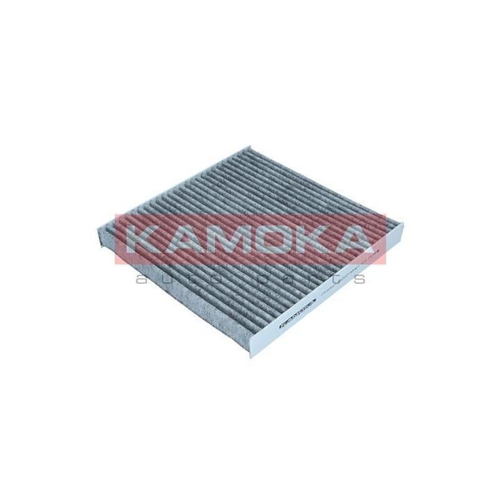Filtras, salono oras KAMOKA F520501