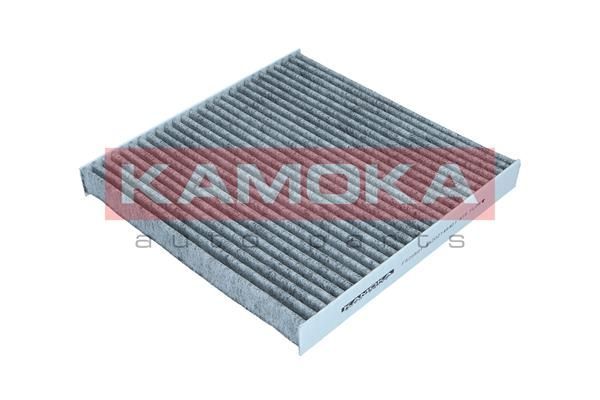 Filtras, salono oras KAMOKA F520501