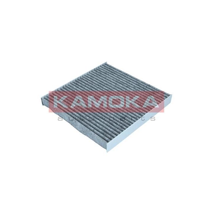 Filtras, salono oras KAMOKA F520501