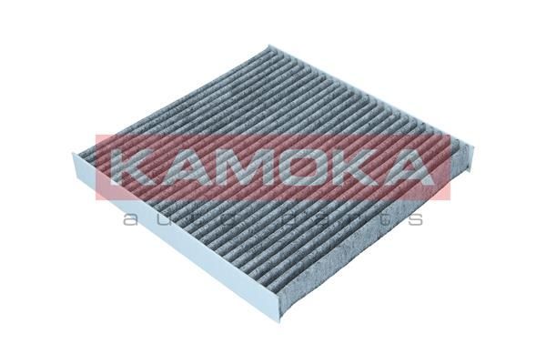 Filtras, salono oras KAMOKA F520501