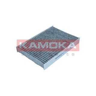 Filtras, salono oras KAMOKA F521101