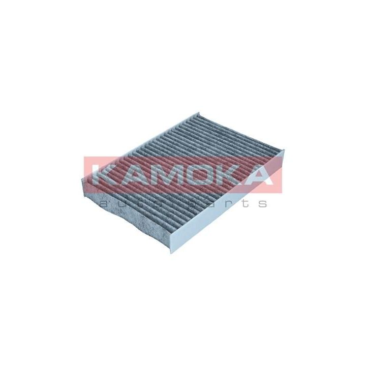 Filtras, salono oras KAMOKA F521101