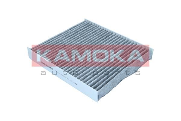 Filtras, salono oras KAMOKA F521201