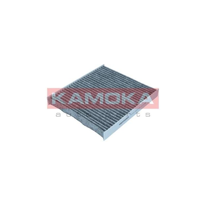Filtras, salono oras KAMOKA F521601