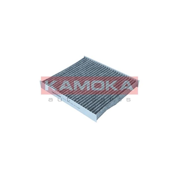 Filtras, salono oras KAMOKA F521601