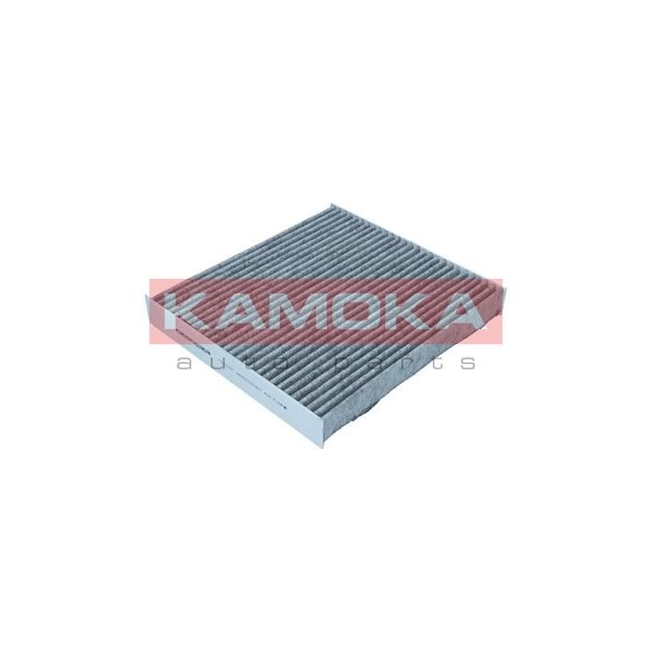 Filtras, salono oras KAMOKA F522701