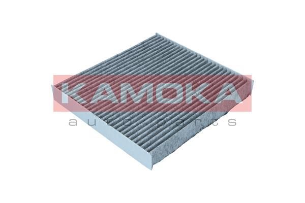 Filtras, salono oras KAMOKA F522701