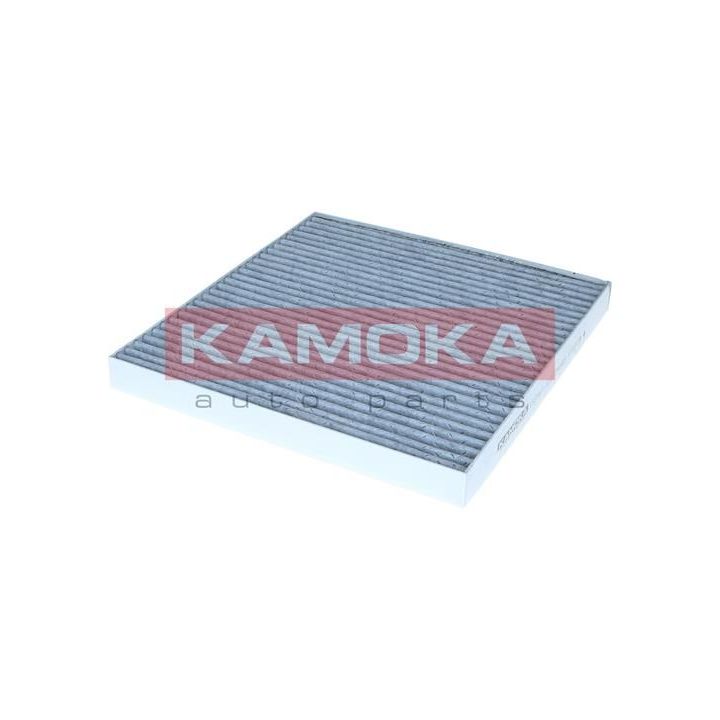 Filtras, salono oras KAMOKA F523901