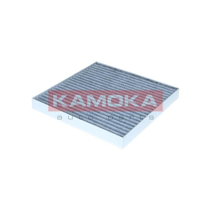 Filtras, salono oras KAMOKA F525101