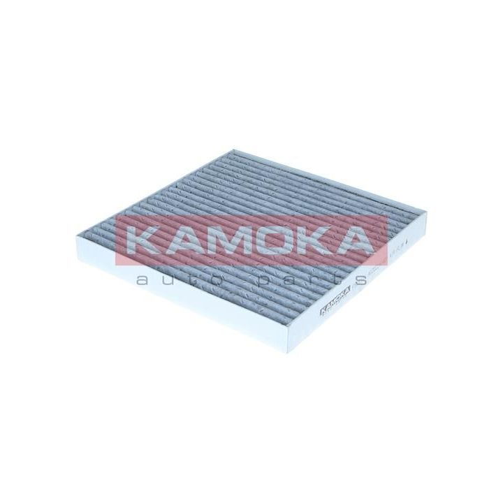 Filtras, salono oras KAMOKA F525101