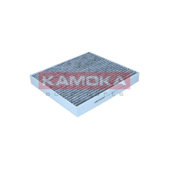 Filtras, salono oras KAMOKA F525401