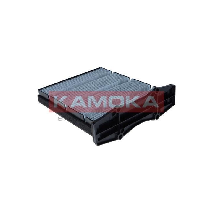 Filtras, salono oras KAMOKA F525601