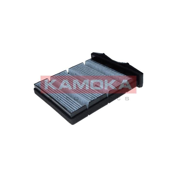 Filtras, salono oras KAMOKA F525601