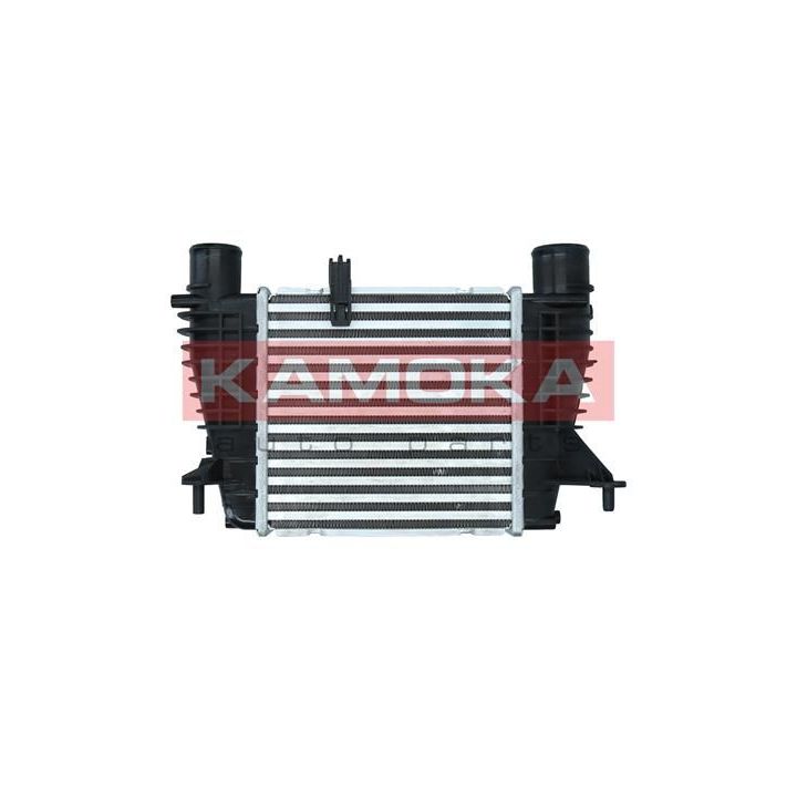 Tarpinis suslėgto oro aušintuvas, kompresorius KAMOKA 7750076
