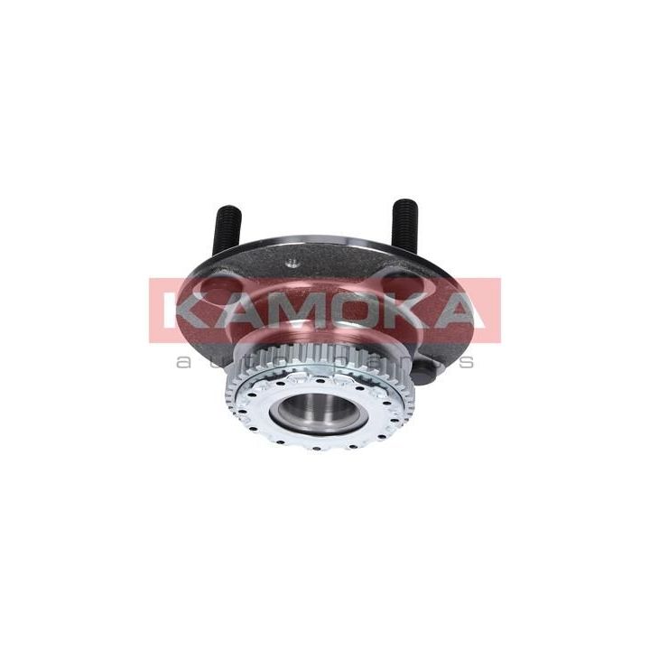 Rato guolio komplektas KAMOKA 5500041