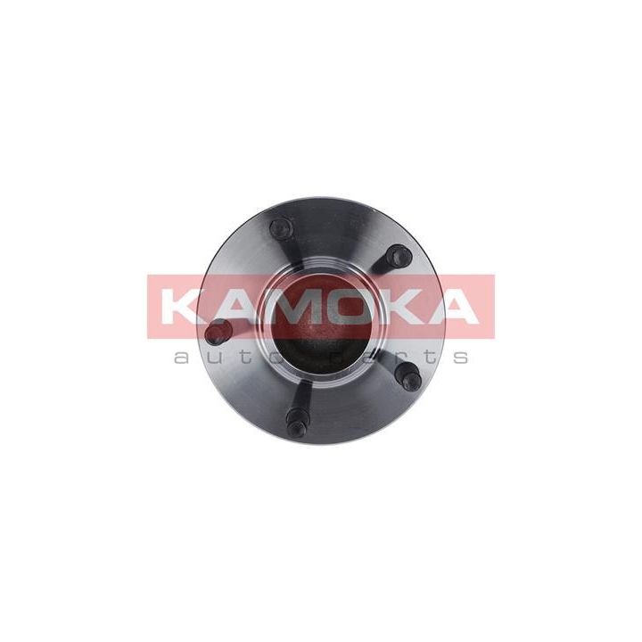 Rato guolio komplektas KAMOKA 5500098