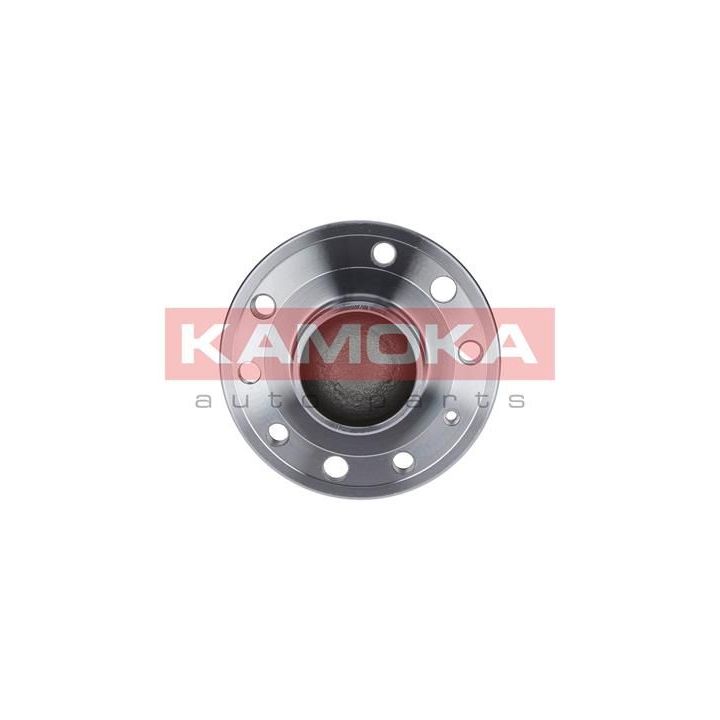 Rato guolio komplektas KAMOKA 5500126