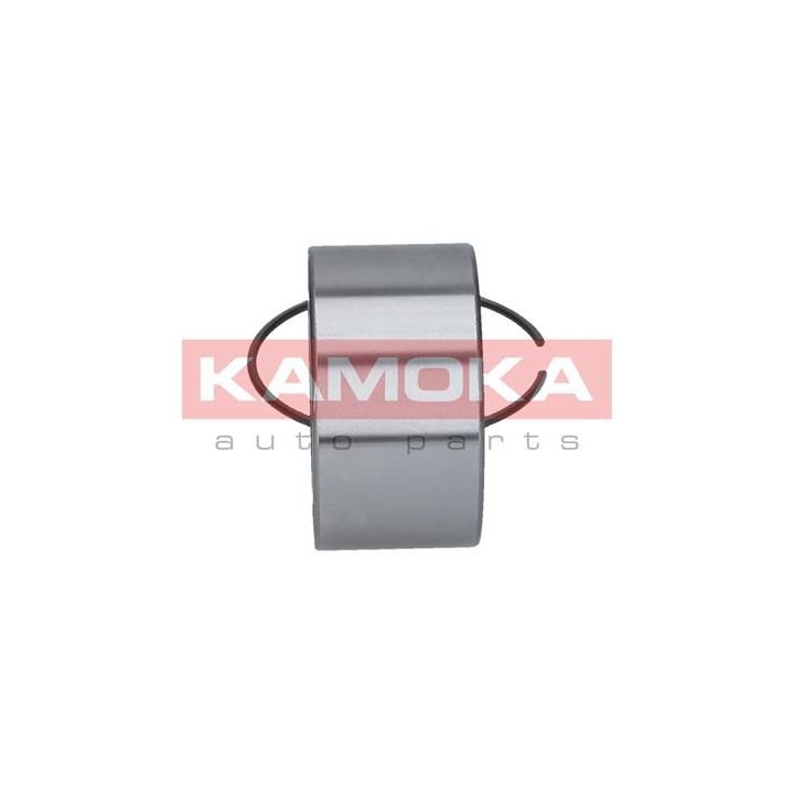 Rato guolio komplektas KAMOKA 5600017